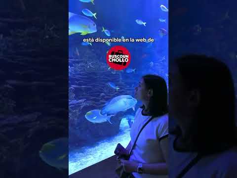 Compra de Entradas Online para Visitar el Oceanogràfic