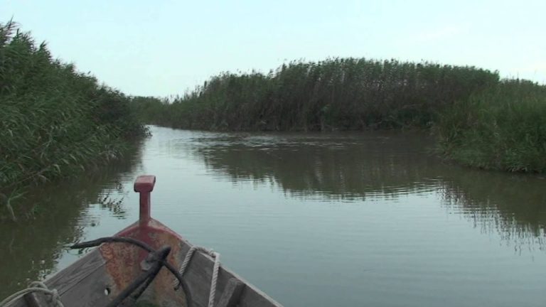 Descubre las Mejores Visitas Guiadas a la Albufera de Valencia