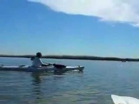 Explorando Rutas en Kayak por la Albufera de Valencia