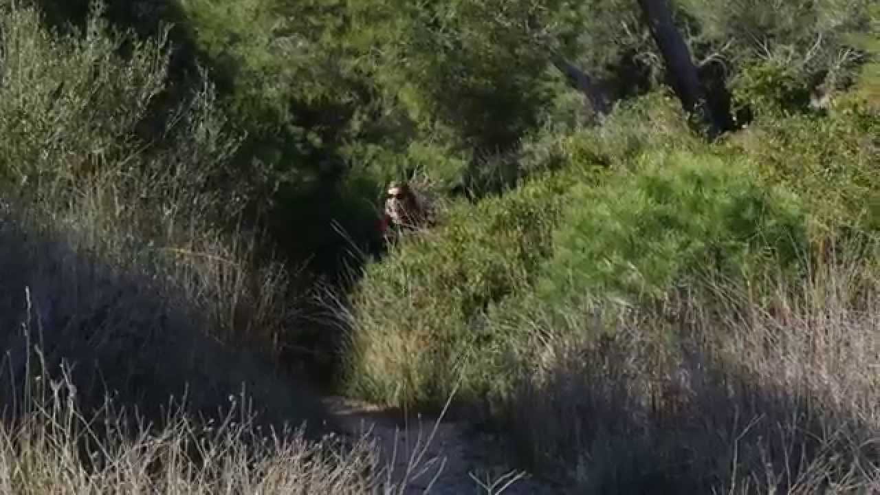 Senderismo Familiar en la Albufera