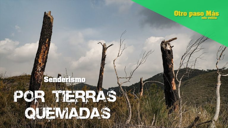 Senderismo en la Sierra de Espadán: Rutas y Aventura Natural